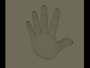 hand 3D Model