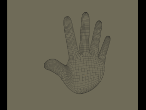 hand Model 3D