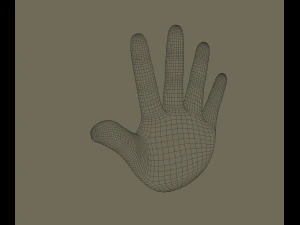 hand 3D Model