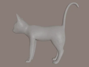 gatto Modello 3D