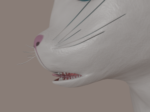 cat Modelo 3D