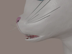 gatto Modello 3D