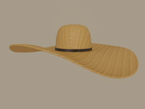 straw sun hat 3Dモデル
