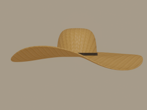 straw sun hat 3D Model