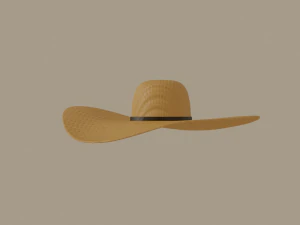 straw sun hat 3D Model