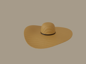 straw sun hat 3D Model