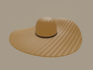 straw sun hat 3D Model