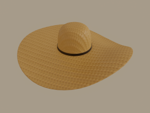 straw sun hat 3D Model
