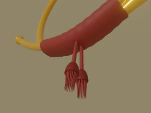 post horn 3D Model