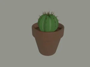 cactus in un vaso di fiori Modello 3D
