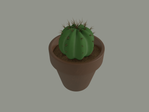 cactus in a flower pot 3D Model