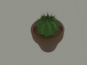 cactus in a flower pot 3D Model