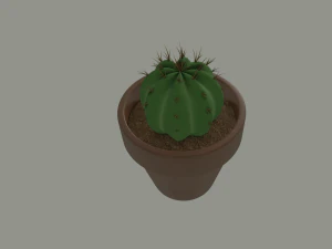 cactus in a flower pot 3D Model