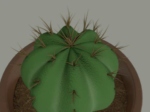 cactus in a flower pot 3D Model