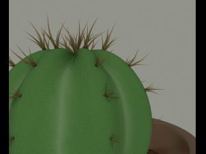 cactus in a flower pot 3D Model