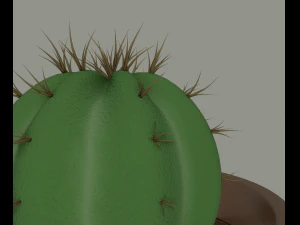cactus in a flower pot 3D Model