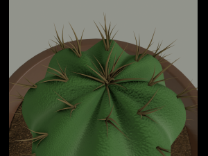cactus in a flower pot 3D Model