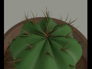 cactus in a flower pot 3D Model