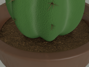 cactus in a flower pot 3D Model