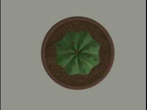 cactus in a flower pot 3D Model