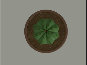 cactus in a flower pot 3D Model