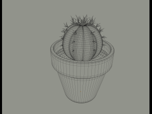 cactus in a flower pot 3D Model