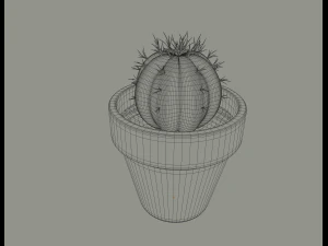 cactus in a flower pot 3D Model