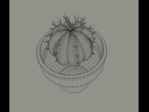 cactus in a flower pot 3D Model