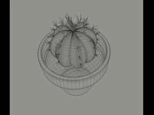 cactus in a flower pot 3D Model