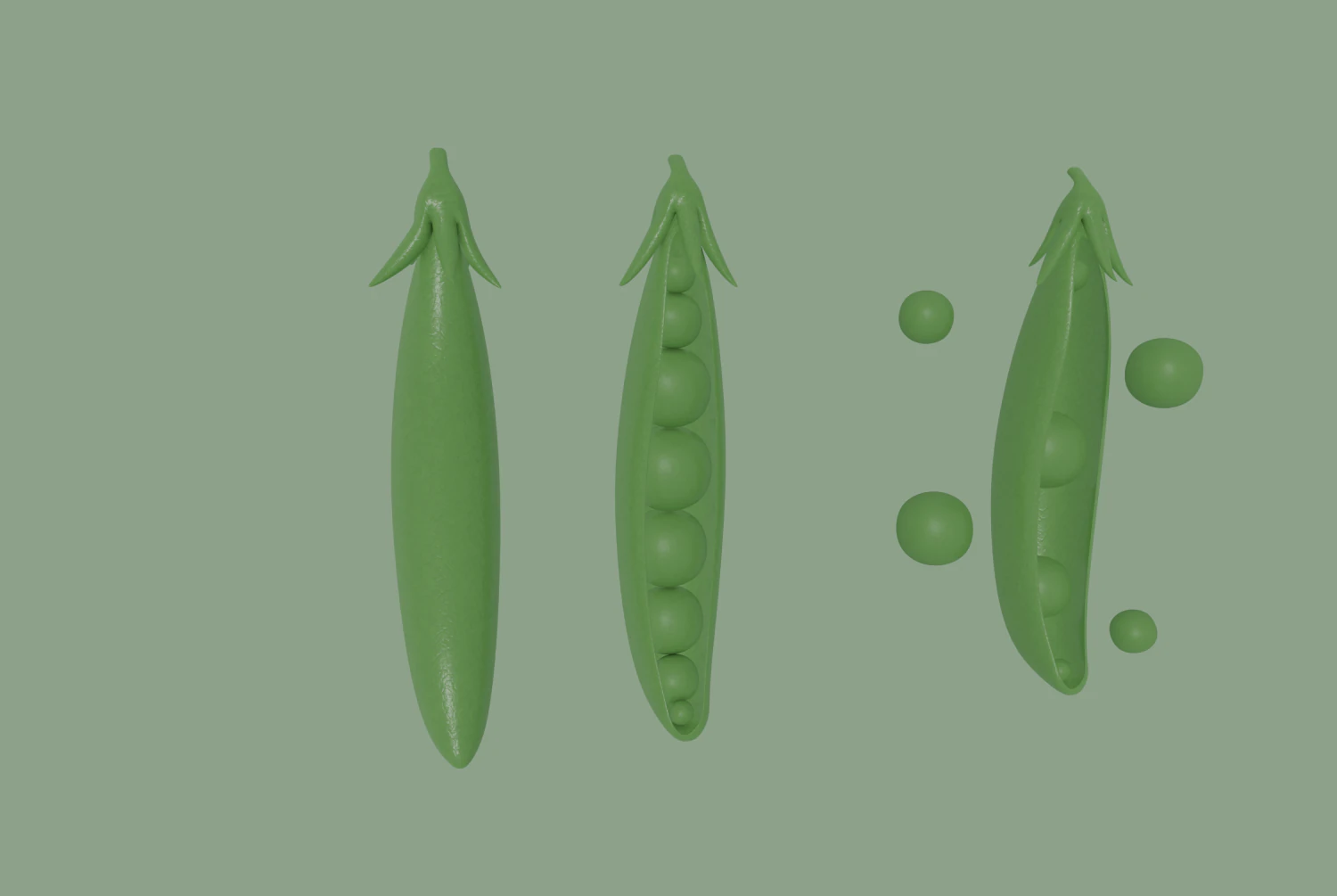 pea 3D Model .c4d .max .obj .3ds .fbx .stl .blend