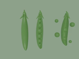 pea 3D Model