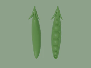 pea 3D Model