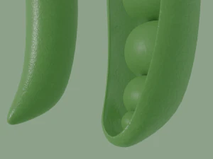 pea 3D Model