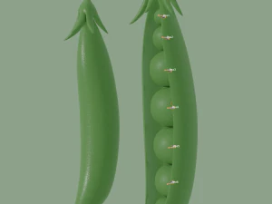 pea 3D Model