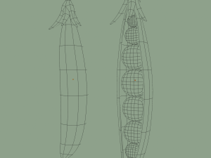 pea Modèle 3D