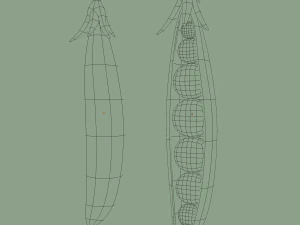 pea 3D Model