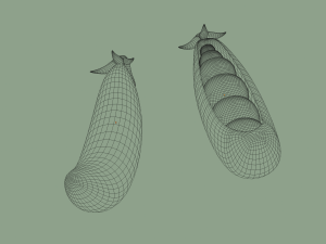 pea Modèle 3D