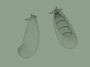 pea 3D Model