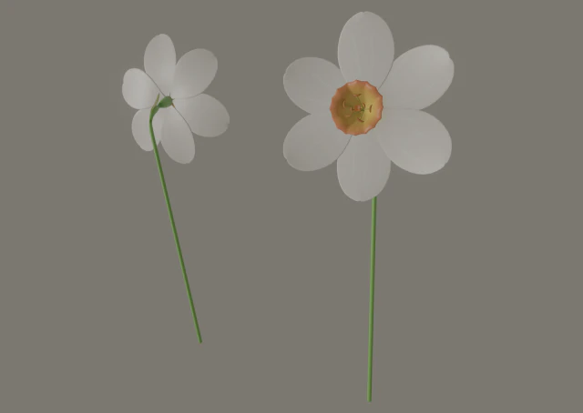 fiore di narciso Modello 3D .c4d .max .obj .3ds .fbx .stl .blend 