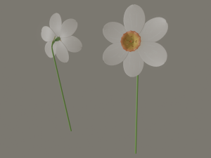 narcissus flower 3D Модель
