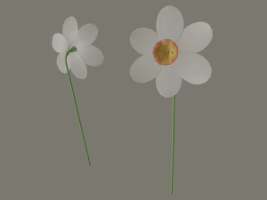 цветок нарцисса 3D Модель