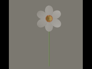 narcissus flower Modelo 3D