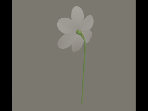 narcissus flower Modelo 3D