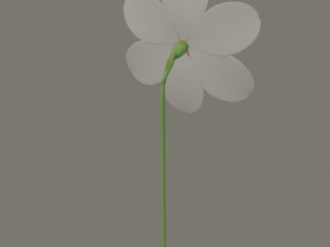 narcissus flower Modelo 3D