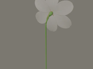 fiore di narciso Modello 3D