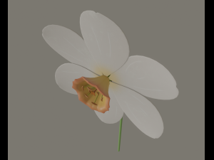 narcissus flower Modelo 3D