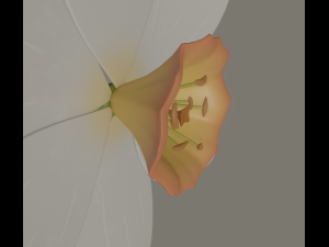 narcissus flower Modelo 3D