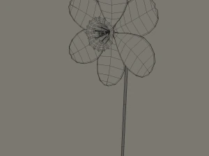 fiore di narciso Modello 3D