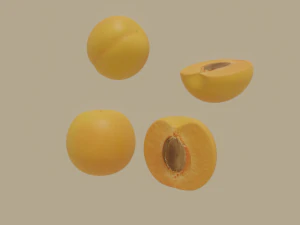 खुबानी 3D मॉडल