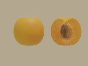apricot Model 3D